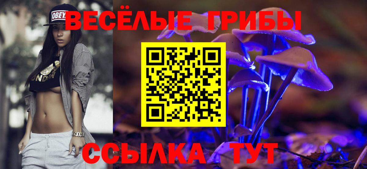 Галлюциногенные грибы Psilocybe  Вход с VPN  Тельмана 